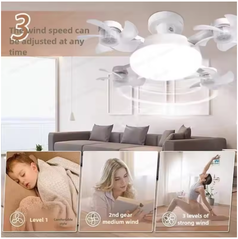 Mynclea™ 2in1 LED Ceiling Fan